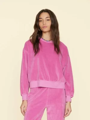 Xirena Sweats & Tees<French Rose Huxley Velour Sweatshirt