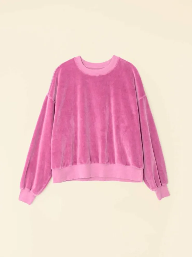 Xirena Sweats & Tees<French Rose Huxley Velour Sweatshirt